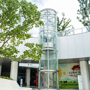 Elevador doméstico panorámico de cristal para 6 personas residencial eléctrico <span class=keywords><strong>barato</strong></span> de los pisos residenciales del uso en el hogar de los pisos de los 2 pisos 3 pisos 4 niveles - Product Image 1