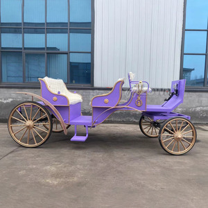 Carruaje Turístico Real de Estilo Vintage con Caballos, Colores Personalizables, 4 Ruedas, Asientos para 4-6 Personas, Nuevo - Product Image 4