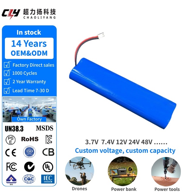 High Quality 3.6V 18650 Lithium Battery 2400mah Batterie Rechargeable Lithium-ion Battery Pack