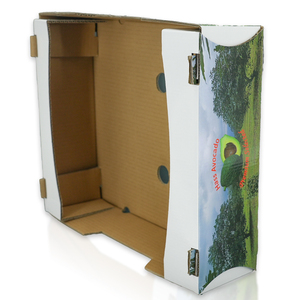 Boîte <span class=keywords><strong>en</strong></span> carton ondulé personnalisée avec logo, pour l'emballage des avocats, boîte d'expédition écologique laminée pour la vente au détail et <span class=keywords><strong>en</strong></span> gros <span class=keywords><strong>de</strong></span> fruits - Product Image 5