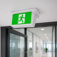 Signalisation LED d'urgence durable pour PC, 2W, étanche IP65, rechargeable, autonomie de 3 heures, installation intérieure/extérieure