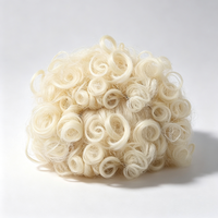 Perruque pour animaux de compagnie, pour chats et chiens, perruque afro universelle pour Halloween, accessoires capillaires personnalisés, toutes saisons