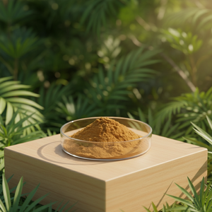 Extracto de Raíz de Tongkat Ali <span class=keywords><strong>Eurycoma</strong></span> <span class=keywords><strong>Longifolia</strong></span> 100% Puro y Natural 100:1 200:1 - Product Image 4