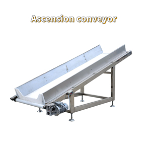 Ngũ cốc/năng lượng/Muesli/protein/sô cô la/ngũ cốc/protein thanh dây chuyền sản xuất Ngô mảnh đùn dòng Hạt Thanh Máy chế biến - Product Image 5