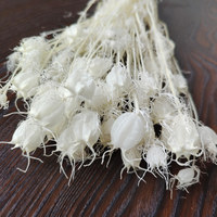 Bunga Nigella putih awet dan rumput Nigella segar untuk dekorasi pernikahan & Hari Valentine rangkaian bunga alami