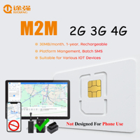 Tarjeta SIM Internacional 4G y 3G, Tarjeta IOT de 30MB/Mes para Uso Durante Un Año, para Rastreadores GPS y Otros Dispositivos, Uso de Roaming Global