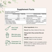 Poudre de peptides de collagène multi-vitamines C pour adultes, soin de la peau, vente chaude TikTok, pour revendeurs en dropshipping