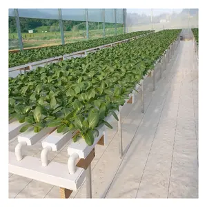 10 Years Durable Used NFT Channel In hydroponics Greenhouse Aquaponics Culture