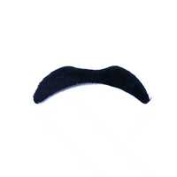 PESENAR Accessoires de costume - Ensemble de 4 pièces : chapeau, moustache et lunettes - Matière polyester pour hommes adultes
