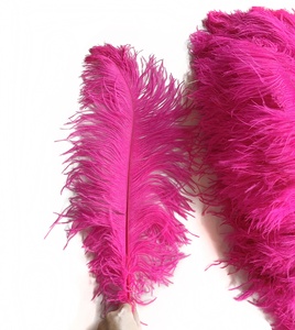 Grandes plumes d'autruche rose vif de 16 pouces pour décoration de centre de table, plumes de carnaval, plumes de corail, plumes noires et blanches pour bricolage, mariage, artisanat et fête - Product Image 1