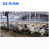 Maison de moutons de conception libre Structure en acier préfabriquée Abri de grange à chèvres Vente de bâtiment de ferme
