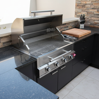 Barbecue encastrable double combustible gaz et charbon de bois en acier inoxydable avec plateau à charbon extractible et couvercle pour cuisson en îlot de cuisine