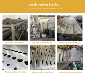 Liangyin Factory Outlet tùy chỉnh nhôm đùn thành phần khe tùy chỉnh đùn nhôm hồ sơ chính xác cho ô tô - Product Image 4