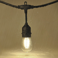 Ampoule à filament LED S14 E26 E27 1W 2W 5V 24V 110V 220V Blanc chaud avec couvercle en PC pour guirlandes lumineuses d'extérieur