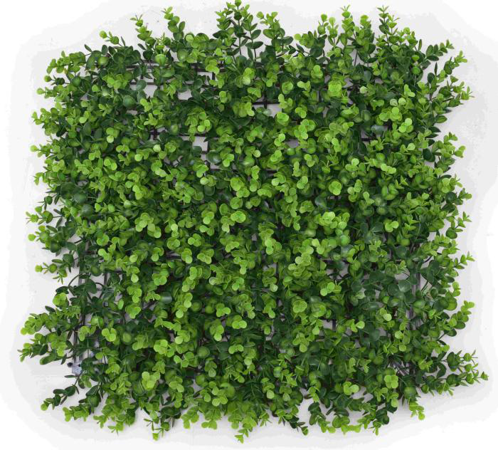 WHDY-1/1 50 cm * 50 cm