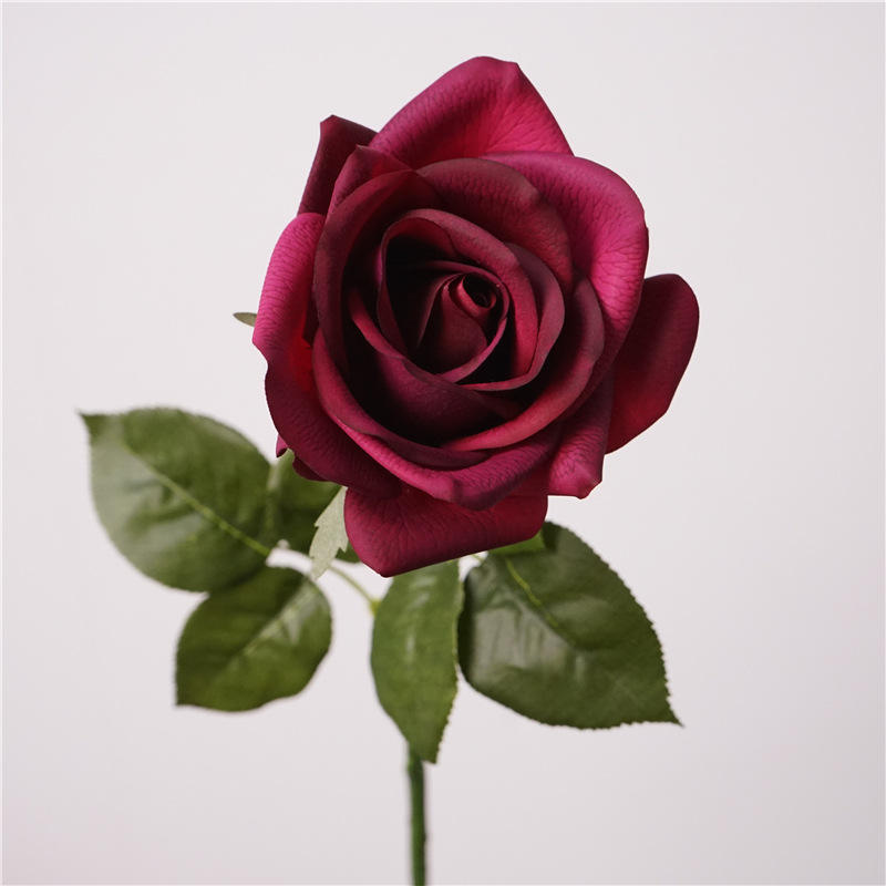 Une seule tige corolle rose - caviar