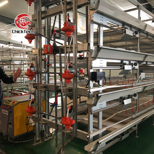 ระบบกรงไก่เนื้อแบบ H ชุบกัลวาไนซ์แบบจุ่มร้อน คุณภาพสูง ทนทาน ใหม่ สำหรับฟาร์มสัตว์ปีก พร้อมประสิทธิภาพการทำงานที่มั่นคง - Product Image 3