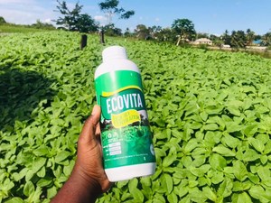 Engrais Liquide Minéral EcoVita Organa0 de Haute Qualité pour une Santé Améliorée du Sol et un Rendement Agricole Augmenté - Product Image 4