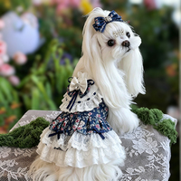 Vêtements élégants et chics en dentelle pour petits chiens, en gros, pour accessoires photo charmants, sorties du week-end et spectacles de vacances