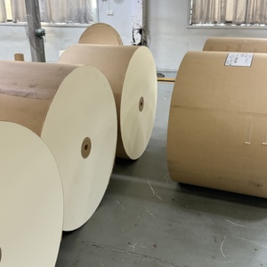 กระดาษเคลือบ PE PLA เกรดอาหาร 150‑320GSM ม้วนจัมโบ้ กันน้ำ สำหรับสายการผลิตพัดกระดาษ - Product Image 2