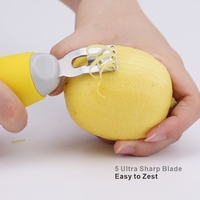 Accessoires de cuisine à main, éplucheur en acier inoxydable râpe à fromage tranchante coupe-citron Zester