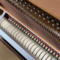 Wholesale Korea Original Young Chang U121 Upright Piano Solid Spruce Soundboard for Home Use