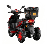Tricycle à essence haute performance 150cc, conception à pédales, utilisation passager, structure anti-usure, pneus de 10 pouces, vitesse maximale >80 km/h