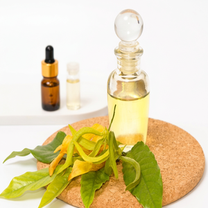 ผู้จัดจำหน่ายน้ำมันกระดังงา (Ylang Ylang Oil) คานังก้า โอโดราตา คุณภาพดีที่สุดสำหรับใช้ในเครื่องสำอางและน้ำหอม - Product Image 1