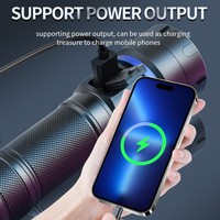 Lampe torche UV 60W UV365 pour la détection des taches de sang d'animaux domestiques, gradation progressive, lumière UV spécialisée pour l'authentification et le camping