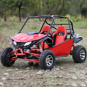 Wholesale Selling <strong>Go</strong> <strong>Kart</strong> 200cc Electric Start Chain Drive 4 Stroke Disc Brake Gas Pedal Off Road Outdoor <strong>Go</strong> <strong>Karts</strong> for Adults - Product Image 2