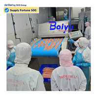Machine d'injection de marinade pour fruits de mer (poisson, saumon, crevettes, calamars) avec système d'injection multi-aiguilles, certifiée CE