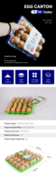 Fabrication de caisses d'emballage d'oeufs de dinde jetables, 30 trous, plateaux d'oeufs de poulet en PET, échantillons gratuits