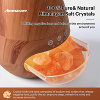 Humidificateur brume feu Simulation électrique arôme sel pierre 3D diffuseur de flamme pour Yoga maison chambre