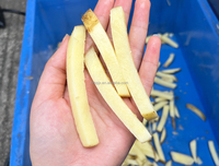 Déchiqueteuse de légumes commerciale entièrement automatique Hôtels de restaurants-Coupe de croustilles de carottes