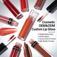 Rouge à lèvres personnalisé avec logo, cosmétiques chimiques, maquillage, gloss à lèvres, fournisseurs, marque privée, gloss transparent hydratant minéral bio