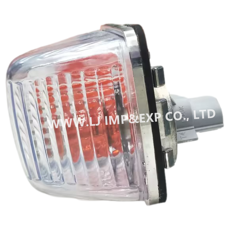 High-quality DOOR LAMP for NPR/NQR 700P - 8974101813