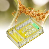 Tour de fourmis professionnelle personnalisée pour la petite observation biologique habitat éducatif nid en plastique acrylique boîte fourmis de ferme portable