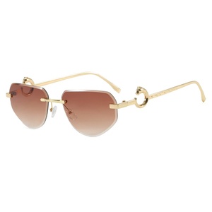 2025 européen américain asymétrique polygone lunettes <span class=keywords><strong>de</strong></span> <span class=keywords><strong>soleil</strong></span> sans cadre pour femmes UV400 lunettes <span class=keywords><strong>de</strong></span> <span class=keywords><strong>soleil</strong></span> tête <span class=keywords><strong>de</strong></span> léopard avec bord coupé - Product Image 5