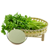 OEM ODM usine d'origine poudre de céleri poudre de jus de céleri pour les suppléments de boisson