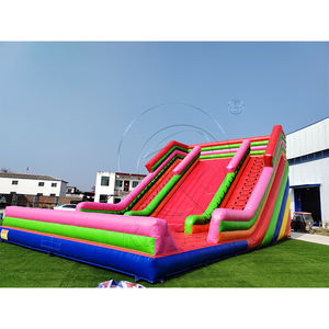 Château gonflable commercial avec toboggan combiné et mur d'escalade, toboggans géants gonflables commerciaux à vendre avec deux échelles - Product Image 1