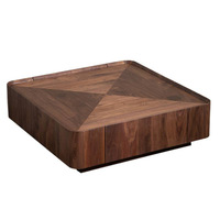 Table basse de style nordique en noyer noir d'Amérique du Nord, design carré avec rangement, table basse moderne de style italien