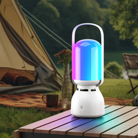 Nouveau Camping lanterne haut-parleur avec lampe rvb portable USB Portable Blue Tooth haut-parleur lumière extérieure Mini Camping haut-parleur lumière