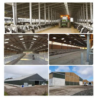 Structure en acier préfabriquée pour étable à vaches laitières, grange à moutons, ferme, structure en acier préfabriquée pour ferme