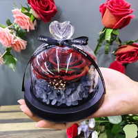 Rose éternelle préservée en gros sous cloche en verre, fleur immortelle, cadeau romantique pour petite amie, décoration de mariage et de maison