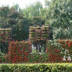 Paneles para Jardín Vertical, Materiales para Jardín Vertical de Pared SL-XQ5025 - Product Image 5