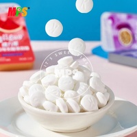 Fabricant de bonbons à la menthe de qualité supérieure | Étiquette privée personnalisée et approvisionnement en vrac | Usine certifiée ISO/BRC