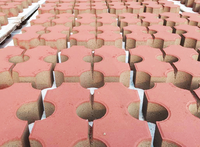 Pavé de jardin en béton poreux emboîtable économique avec technique de cuisson à la vapeur et garantie d'un an pour usage résidentiel
