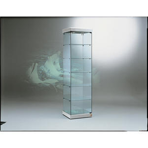 Vitrine H2 en verre trempé 54x53x200 cm, porte à charnières verrouillable, 5 étagères, base miroir LED gris clair - Product Image 1