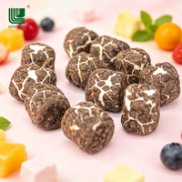 Malvaviscos Liofilizados al Por Mayor, Personalizados, con Recubrimiento de Chocolate, Barra Sólida, Dulce Divertido, 12 Meses de Duración, Personalizable