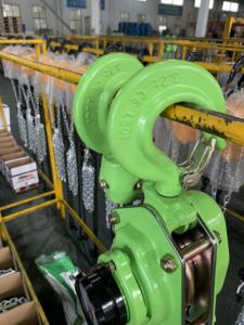 Z2LIFTING blocco a leva manuale 250 kg/sollevatore a catena 5T in vendita - Product Image 3